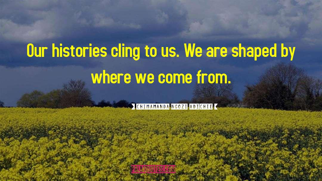 Where We Come From quotes by Chimamanda Ngozi Adichie