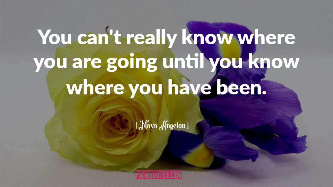 Where You Are Going quotes by Maya Angelou