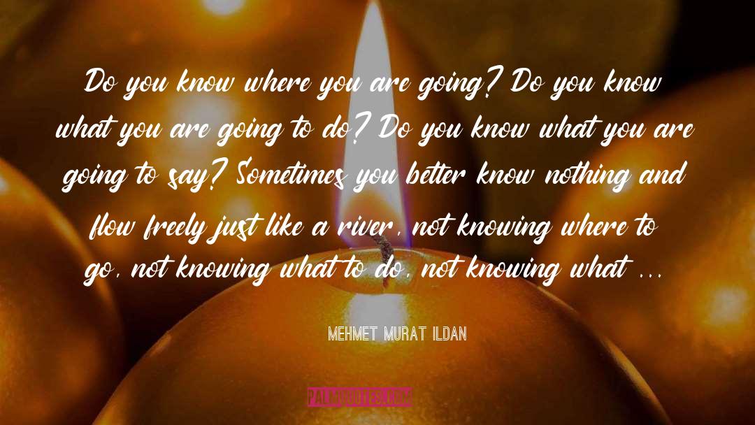 Where You Are Going quotes by Mehmet Murat Ildan