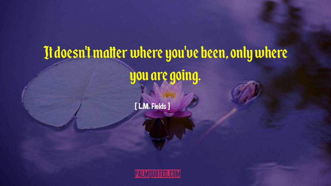 Where You Are Going quotes by L.M. Fields