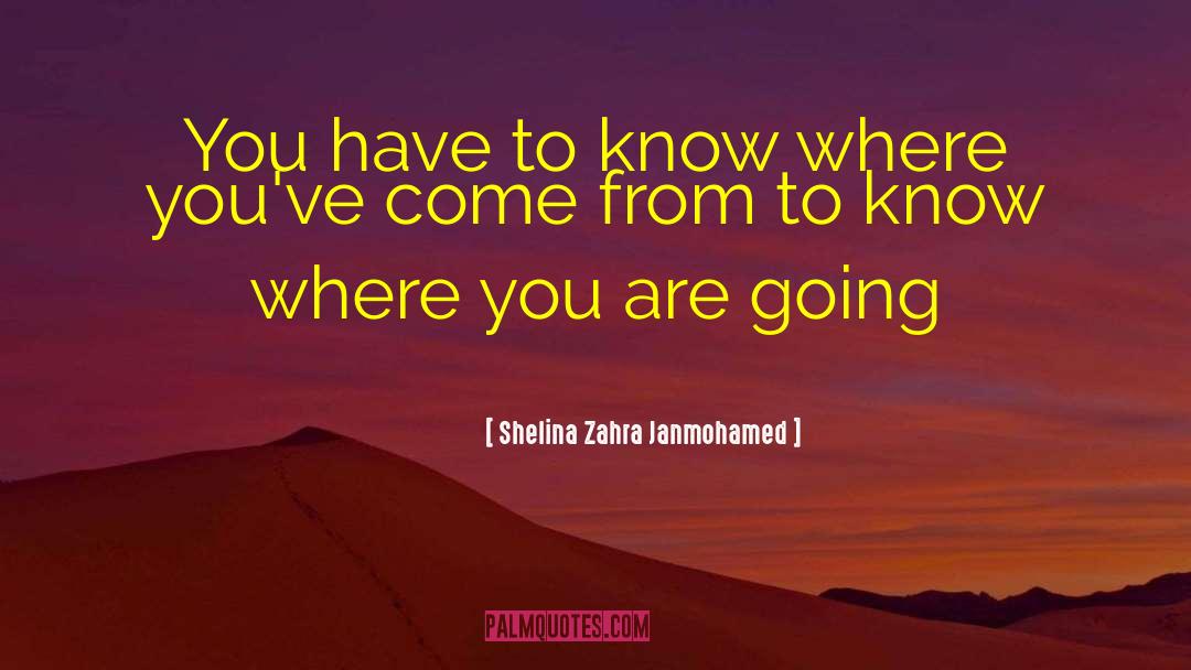 Where You Are Going quotes by Shelina Zahra Janmohamed