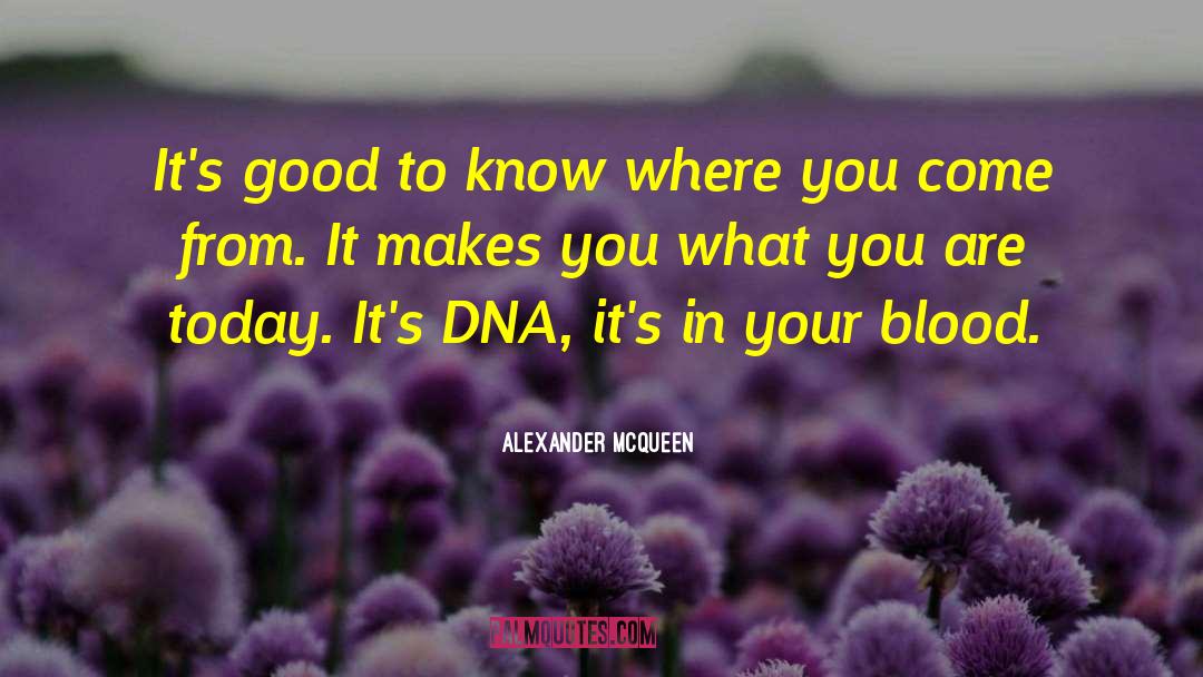 Where You Come quotes by Alexander McQueen