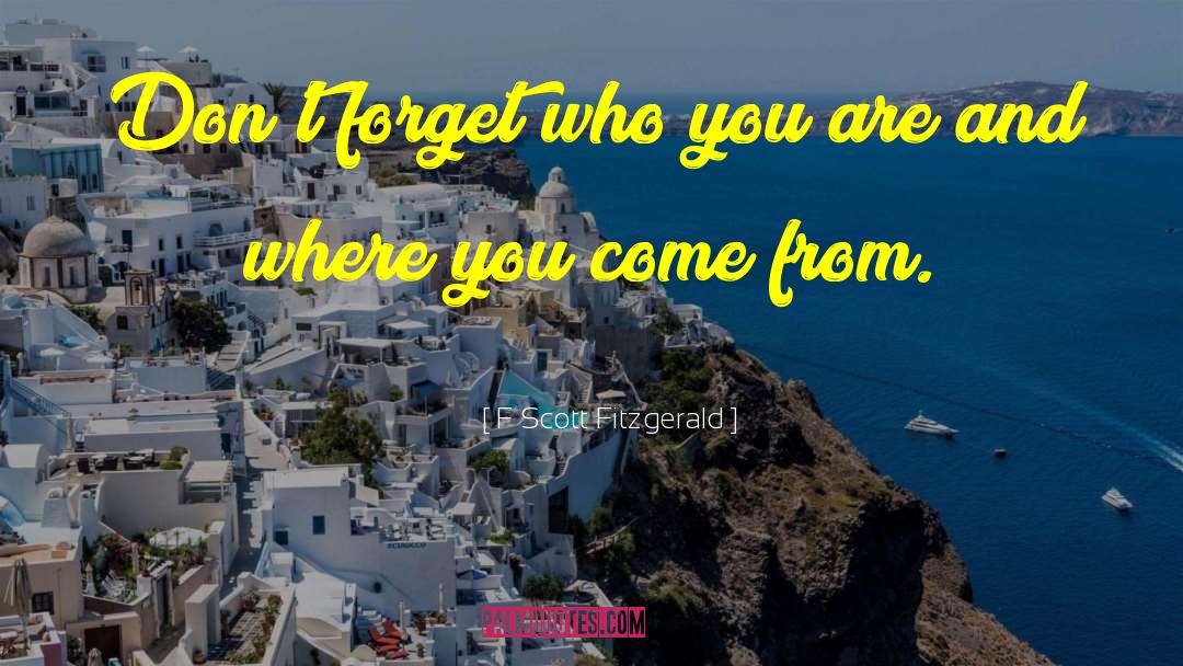 Where You Come quotes by F Scott Fitzgerald