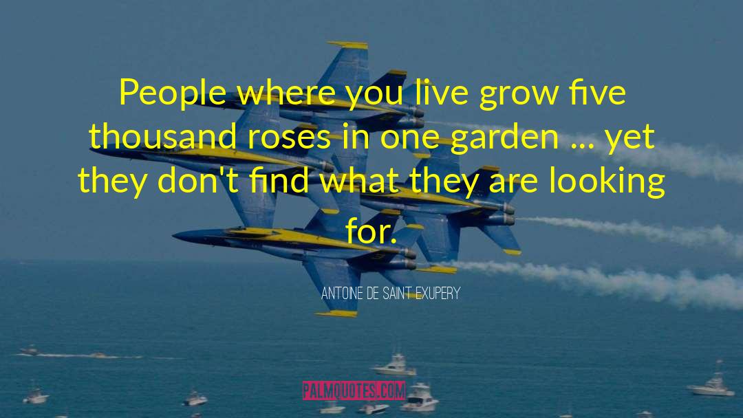 Where You Live quotes by Antoine De Saint Exupery