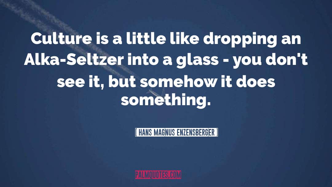 Wherelight Eyeglasses quotes by Hans Magnus Enzensberger