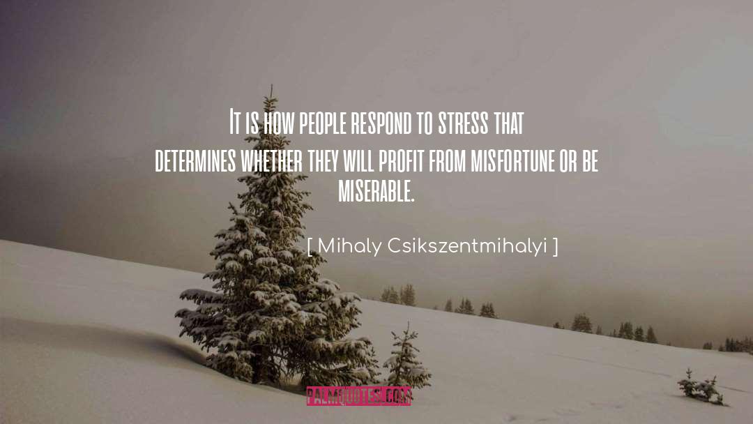 Whether quotes by Mihaly Csikszentmihalyi