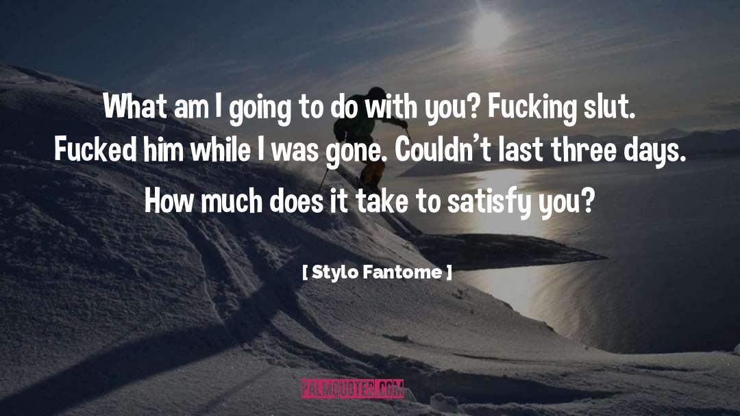 While I Was Gone quotes by Stylo Fantome