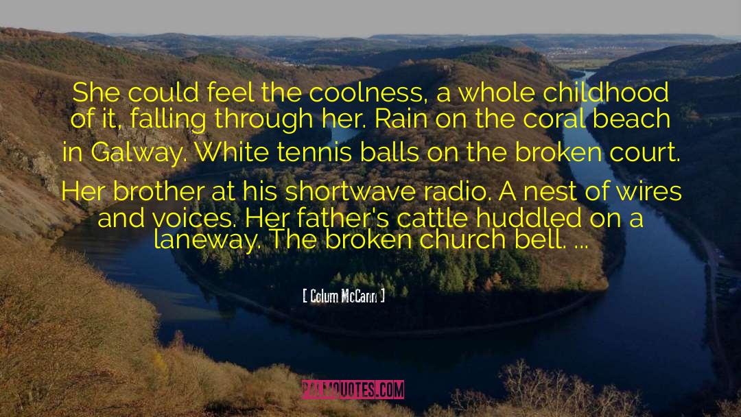 Whimper quotes by Colum McCann