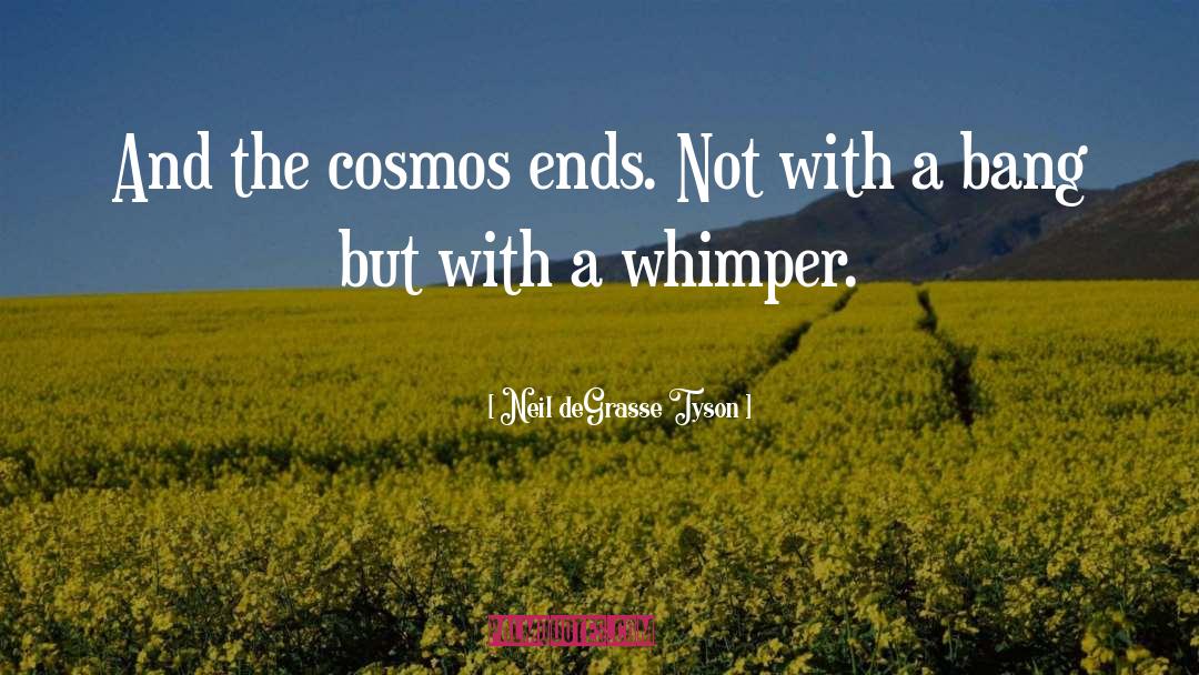 Whimper quotes by Neil DeGrasse Tyson