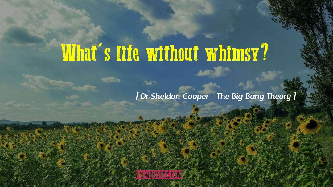 Whimsy quotes by Dr Sheldon Cooper - The Big Bang Theory