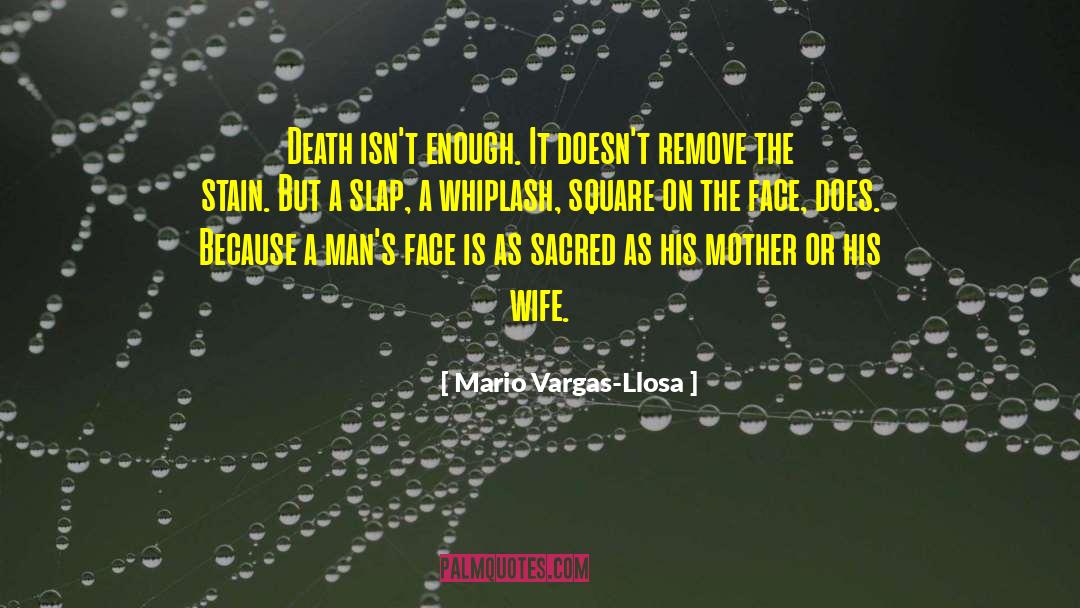 Whiplash quotes by Mario Vargas-Llosa