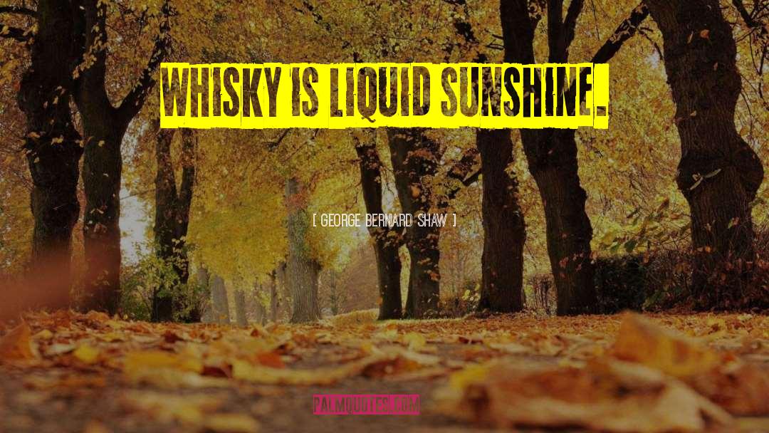 Whiskey Drinker quotes by George Bernard Shaw