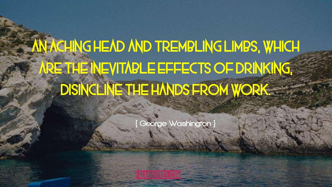 Whiskey Drinking quotes by George Washington