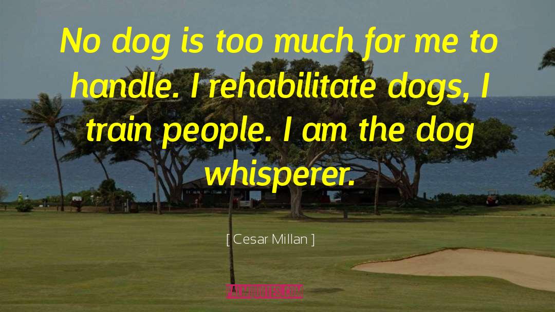 Whisperer quotes by Cesar Millan