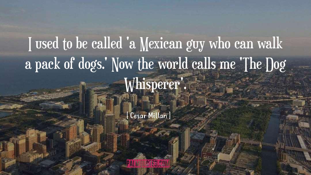 Whisperer quotes by Cesar Millan