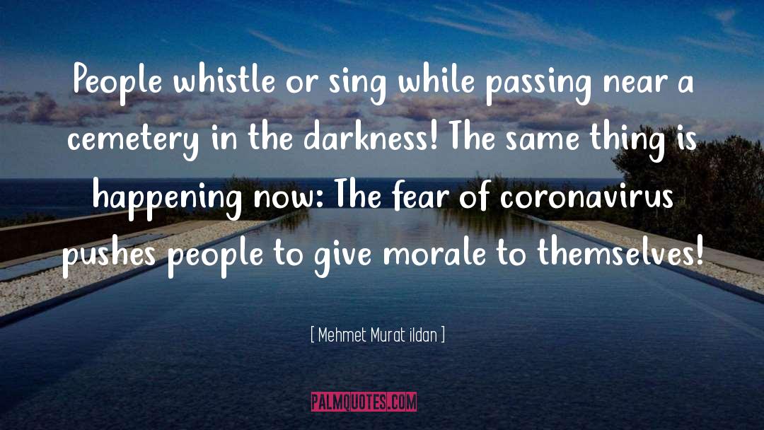 Whistle quotes by Mehmet Murat Ildan