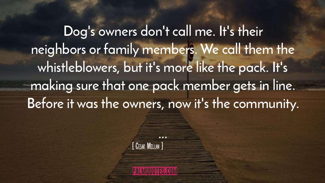 Whistleblowers quotes by Cesar Millan