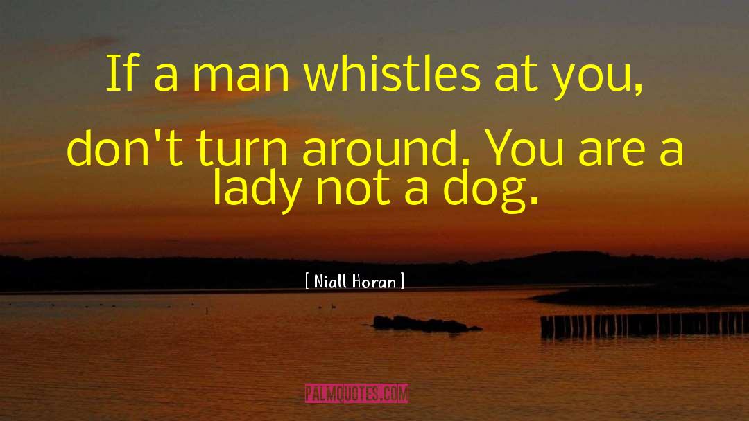 Whistles quotes by Niall Horan