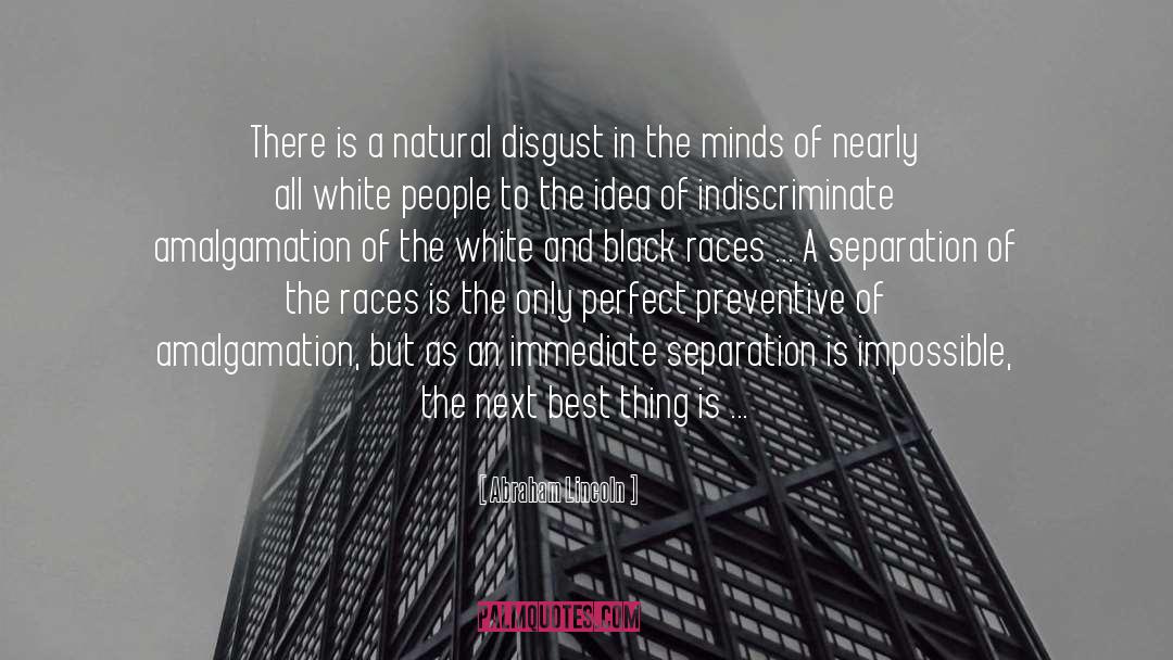 White And Black quotes by Abraham Lincoln