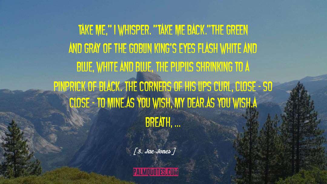 White And Blue quotes by S. Jae-Jones