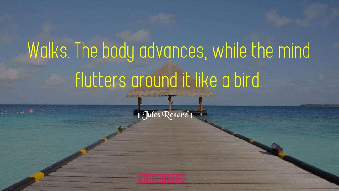 White Bird quotes by Jules Renard