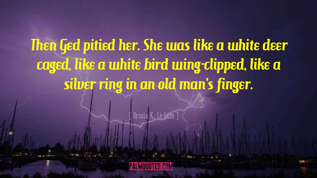 White Bird quotes by Ursula K. Le Guin