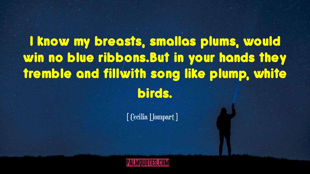 White Birds quotes by Cecilia Llompart