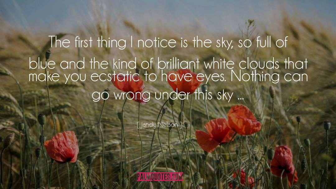 White Clouds quotes by Jandy Nelson