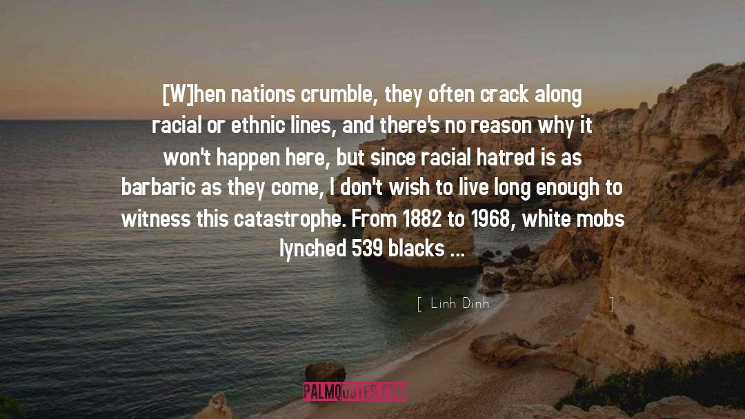 White Genocide quotes by Linh Dinh