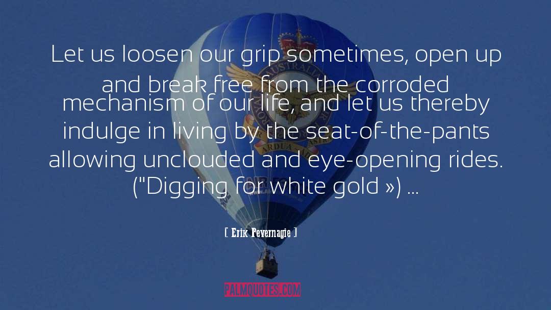 White Gold quotes by Erik Pevernagie