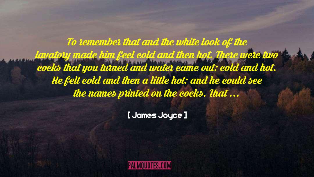 White Hot Kk quotes by James Joyce