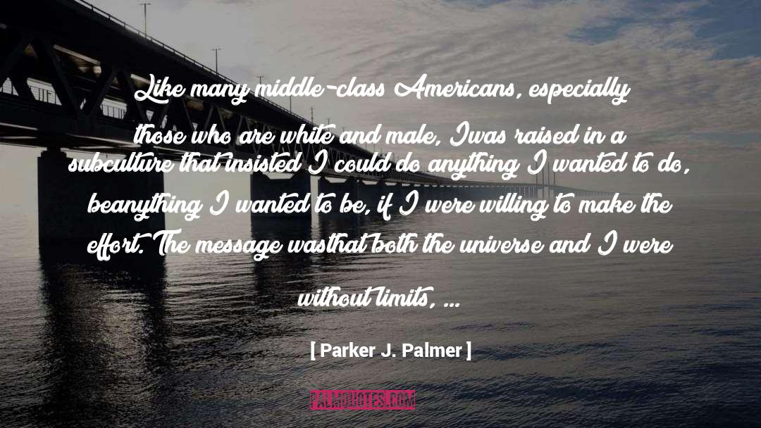 White Male Privilege quotes by Parker J. Palmer