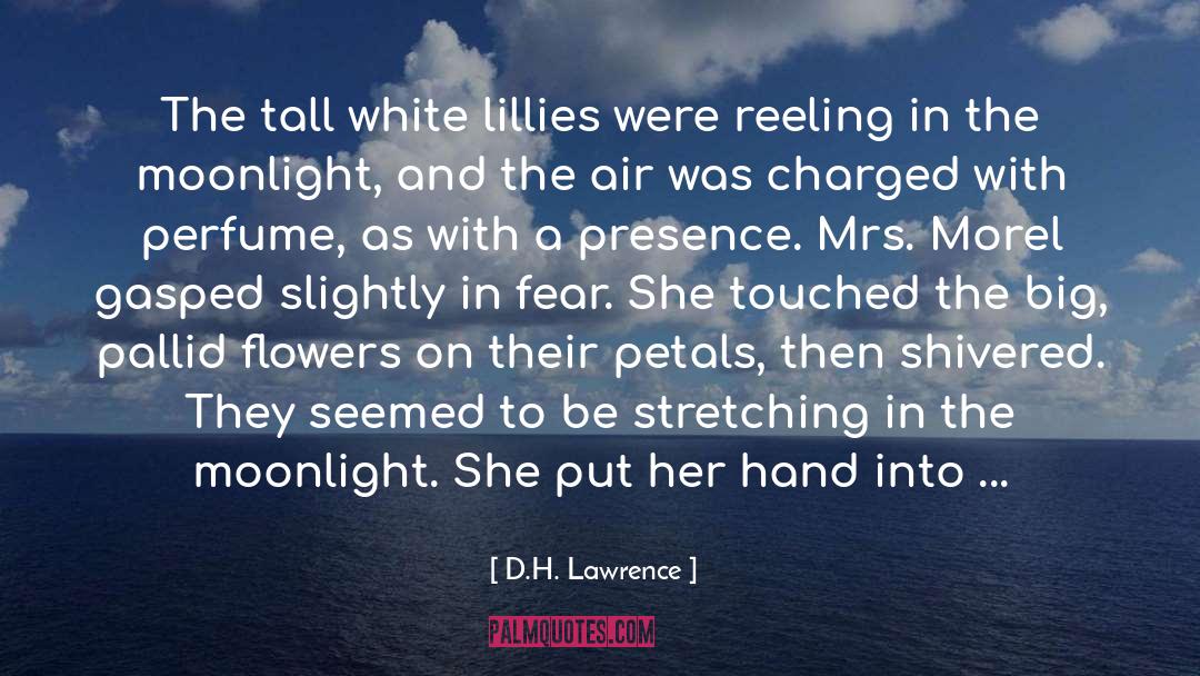 White Panties quotes by D.H. Lawrence