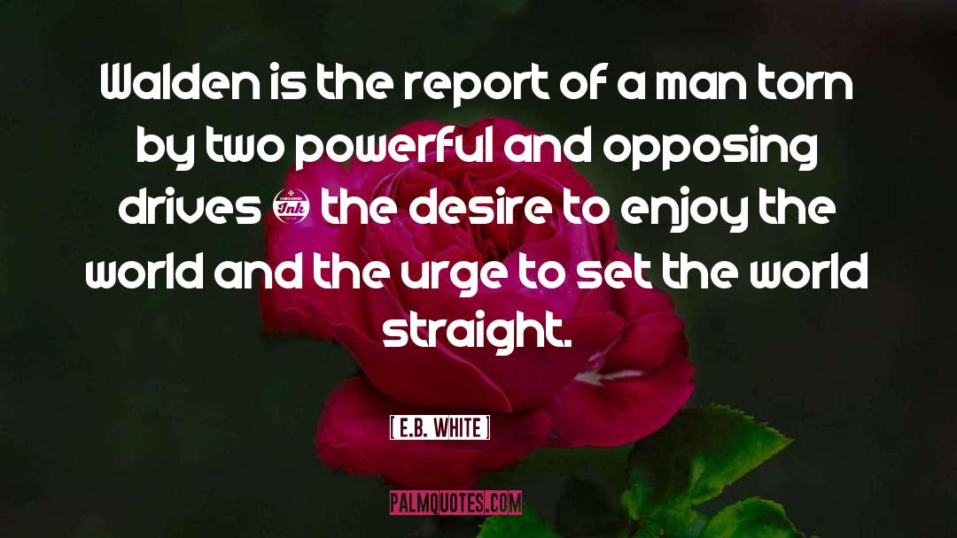 White Power quotes by E.B. White