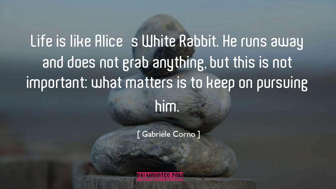 White Rabbit quotes by Gabriele Corno