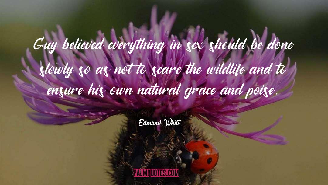 White Rabbit quotes by Edmund White