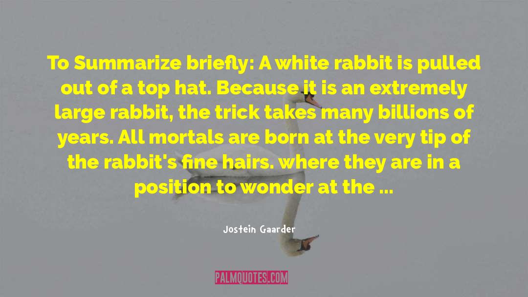 White Rabbit quotes by Jostein Gaarder