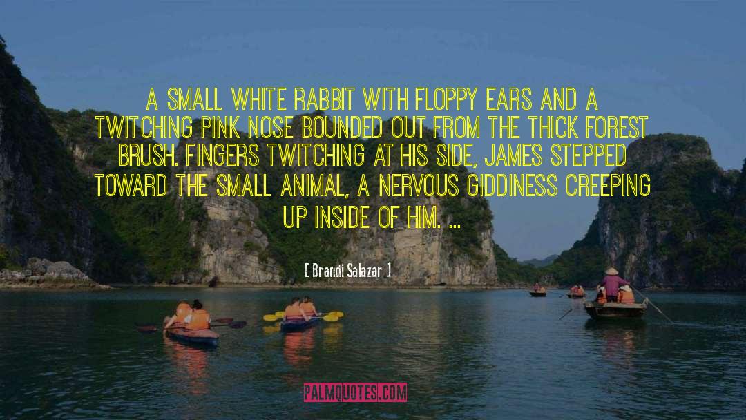 White Rabbit quotes by Brandi Salazar