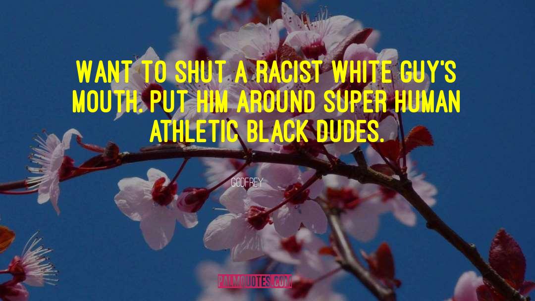 White Racism quotes by Godfrey