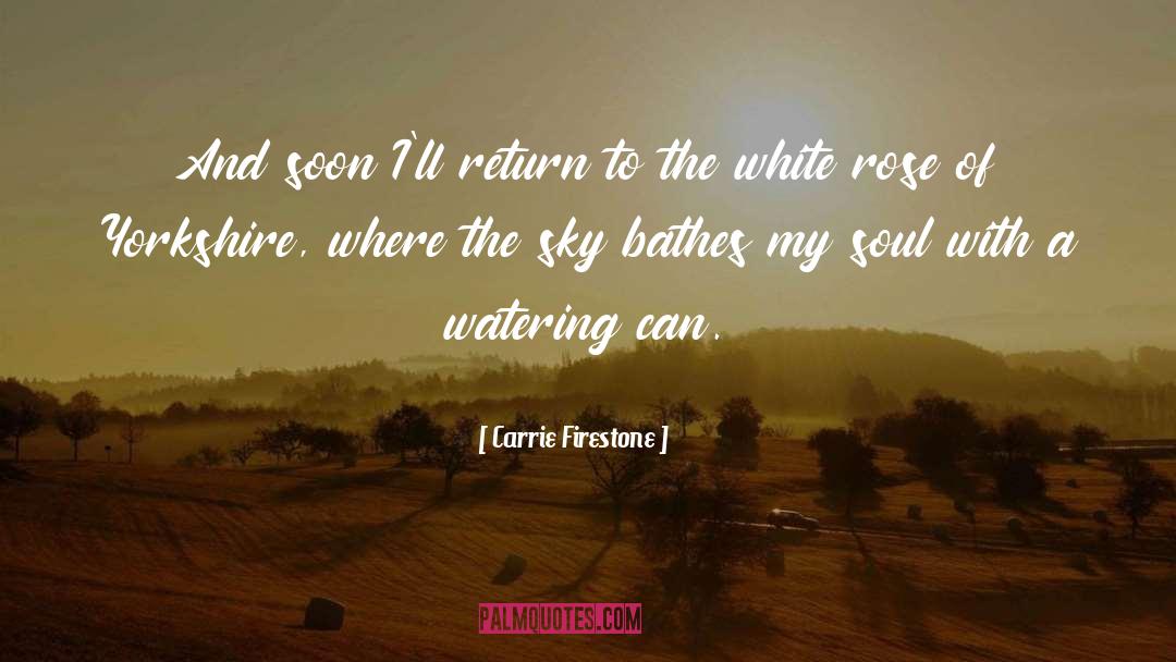 White Rose quotes by Carrie Firestone