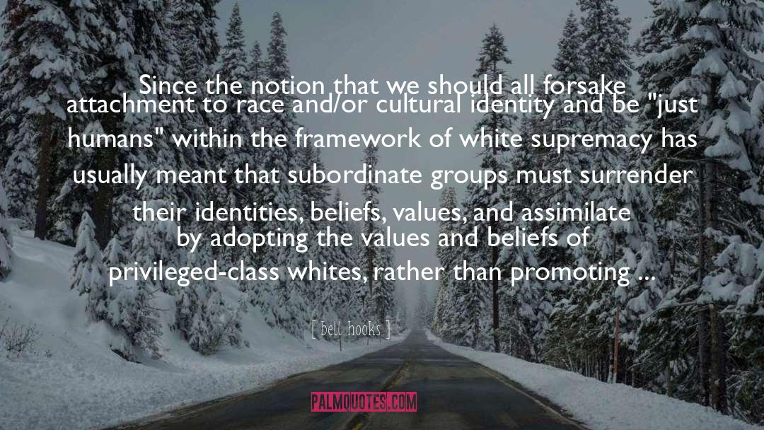 White Supremacy quotes by Bell Hooks