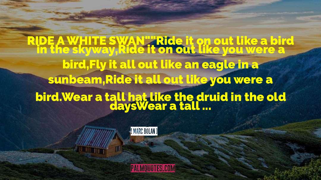 White Swan quotes by Marc Bolan