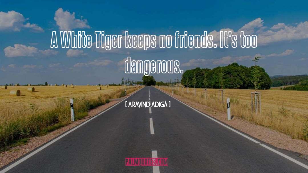 White Tiger quotes by Aravind Adiga