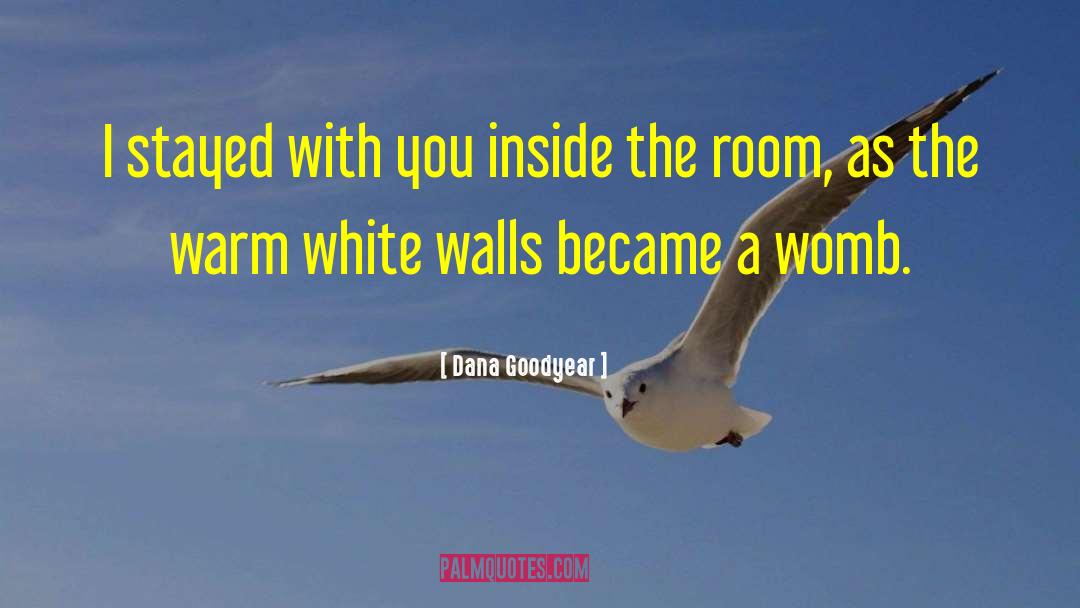 White Walls quotes by Dana Goodyear