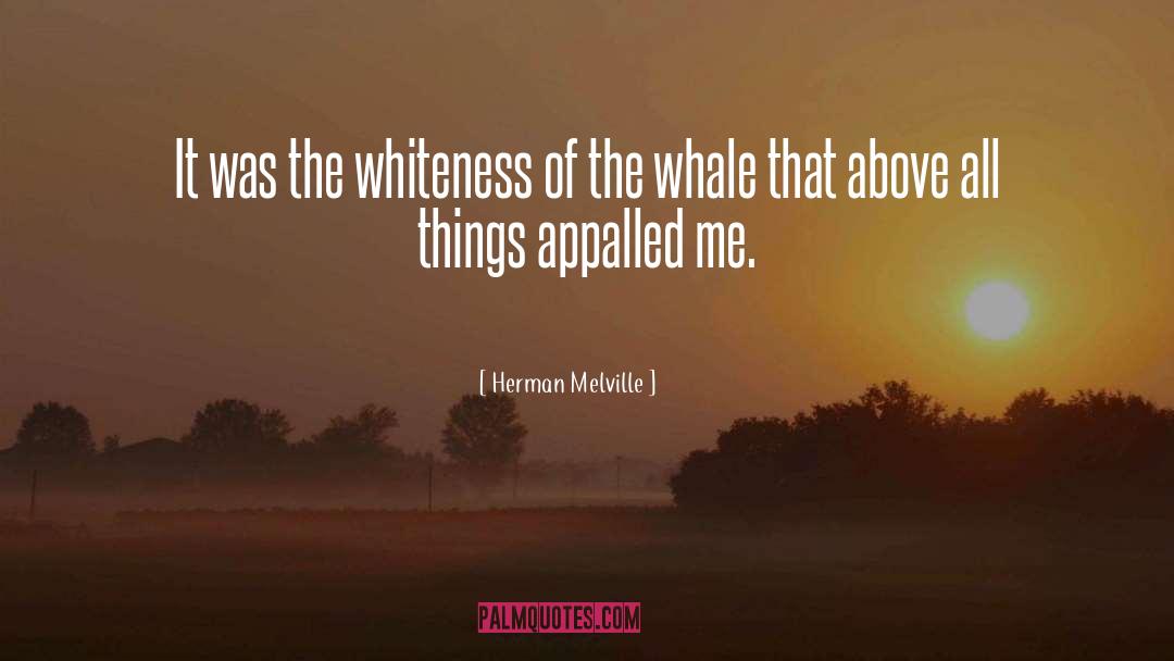 Whiteness quotes by Herman Melville