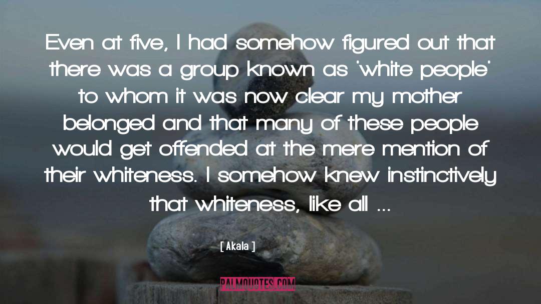 Whiteness quotes by Akala
