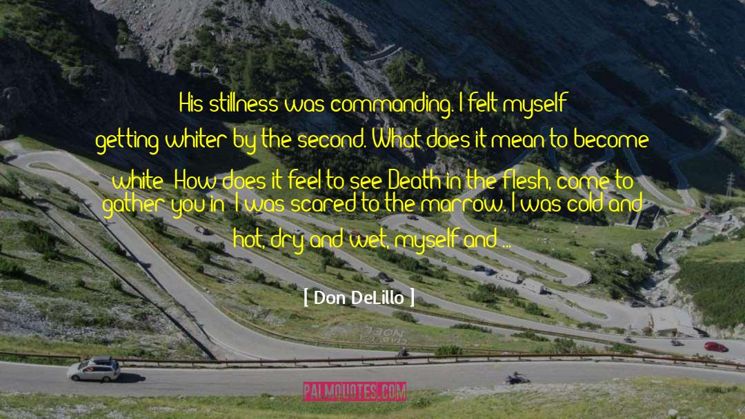 Whiter quotes by Don DeLillo