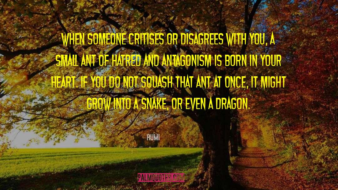 Who Agrees Or Disagrees With You quotes by Rumi