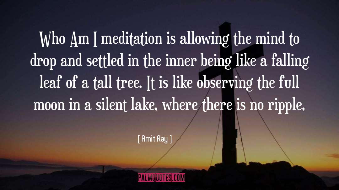 Who Am I Meditation quotes by Amit Ray