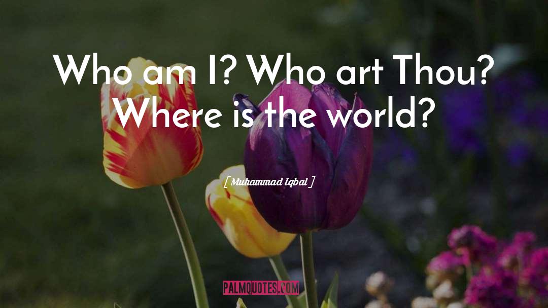 Who Am I quotes by Muhammad Iqbal